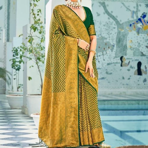 Saree Draping Toronto Brampton Mississauga